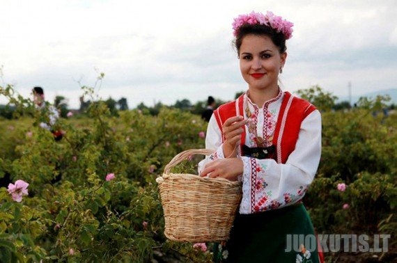 Rožių festivalis Bulgarijoje