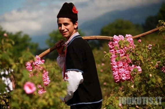 Rožių festivalis Bulgarijoje