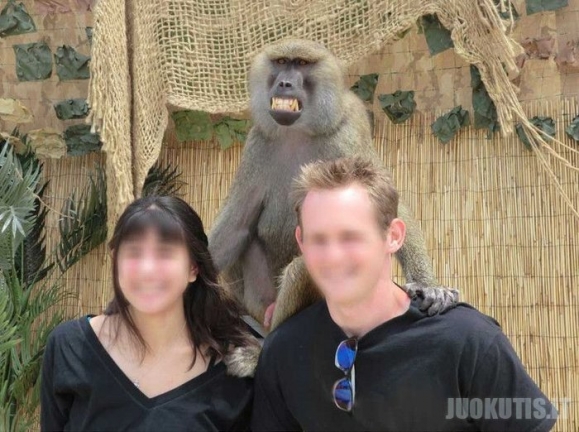 Nuotrauka su beždžione