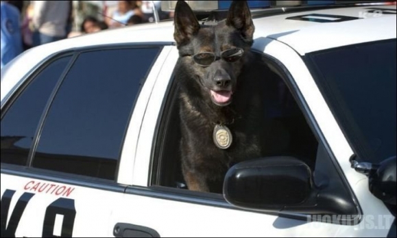 Sudėtinga policininkų tarnyba