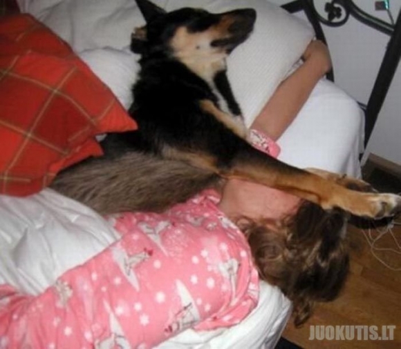 Miegojimas su gyvūnais