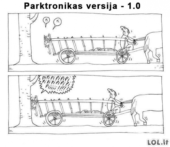 Senoviškas parktronikas