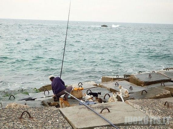 Katiniška kasdienybė