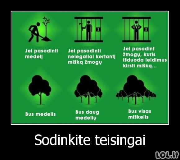 Sodinkite teisingai