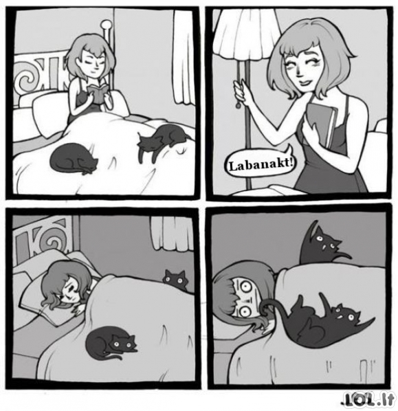 Naktis su katinais