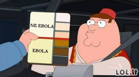 Kaip atpažinti sergančius Ebola?