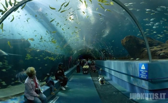Didžiausias pasaulyje akvariumas