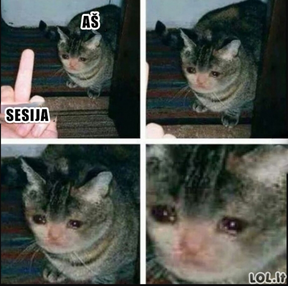 Aš vs sesija