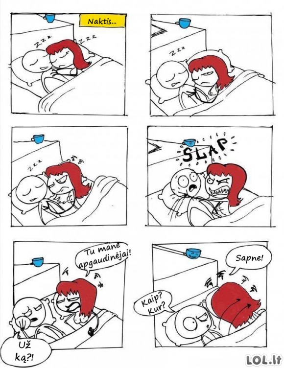 Miegančios moters logika
