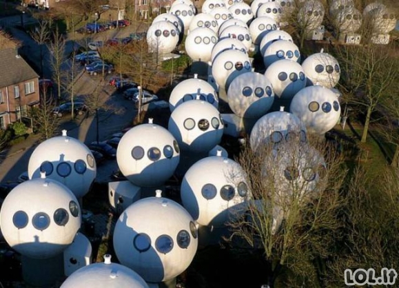 Namai - burbulai Olandijoje