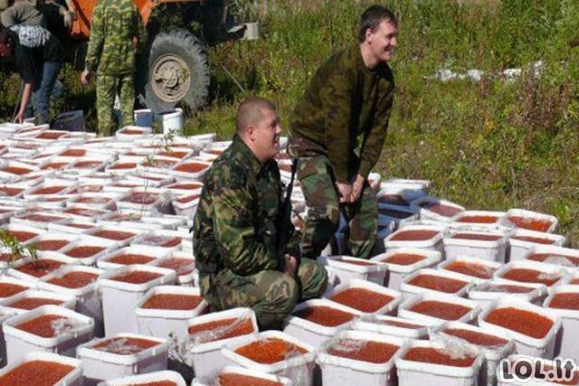 Kaip naikinama ikrų kontrabanda Rusijoje