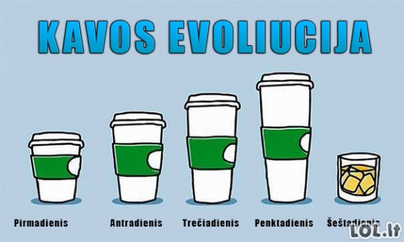 Kavos evoliucija