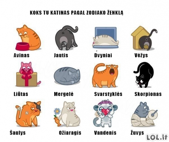Katinas pagal zodiako ženklą