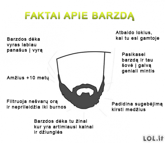 Faktai apie barzdą
