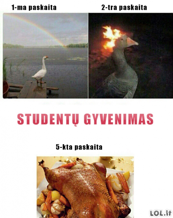 Studentų gyvenimas