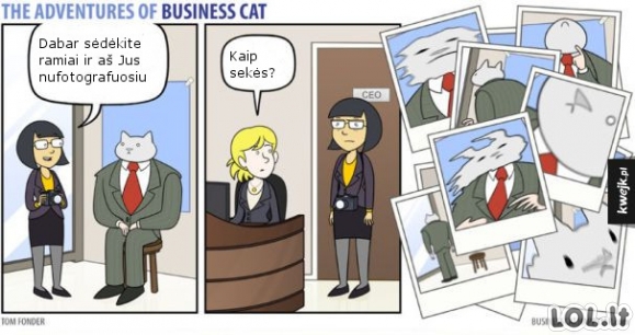 Jeigu katinas būtų tavo bosas