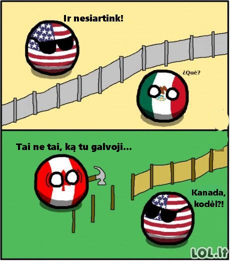 JAV sienos