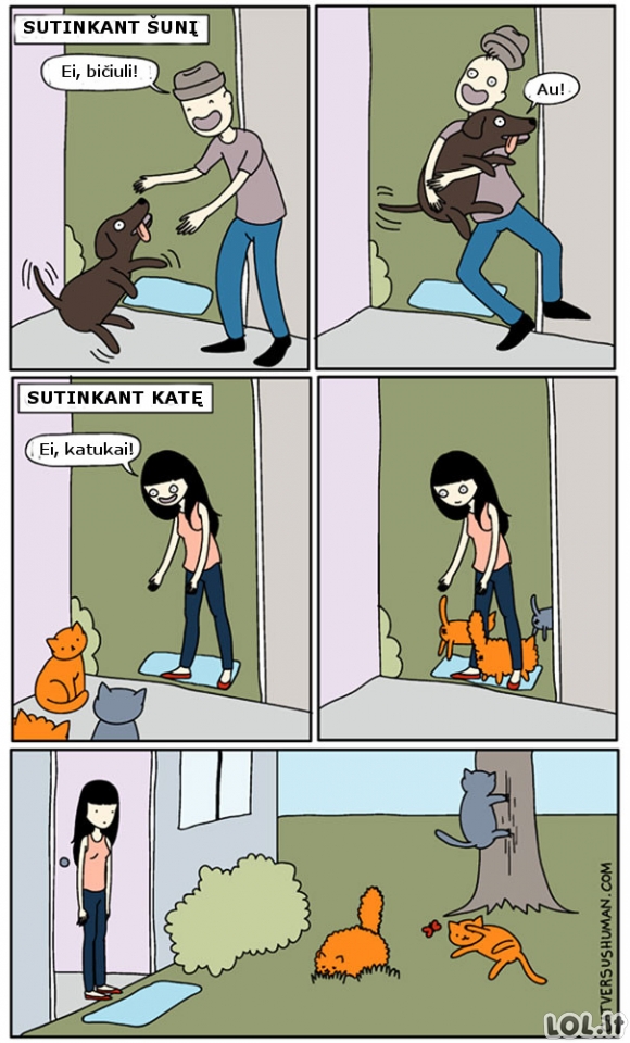 Kačių ir šunų skirtumai