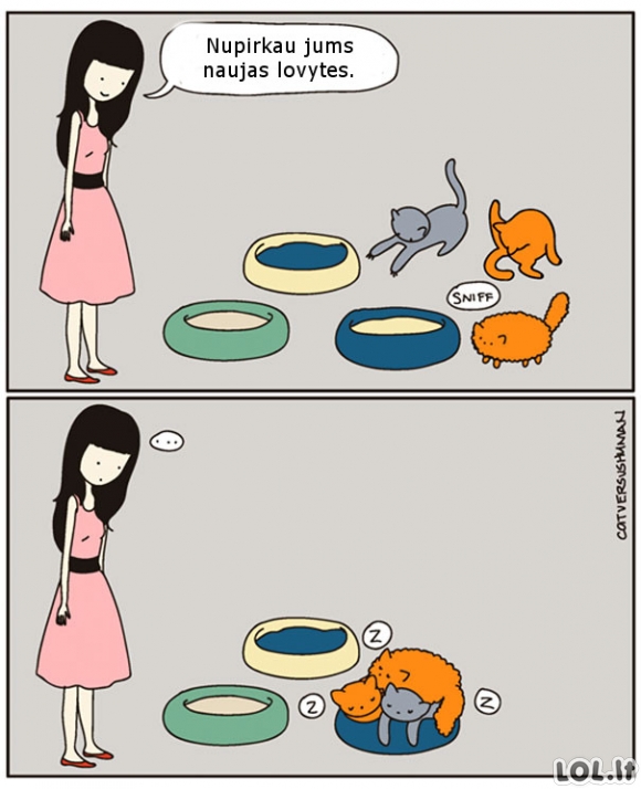 Kačių logika