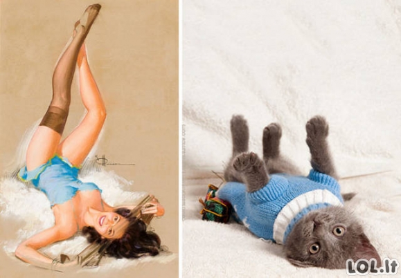 Damutės vs. Katytės