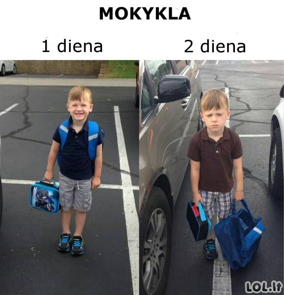 Mokykla