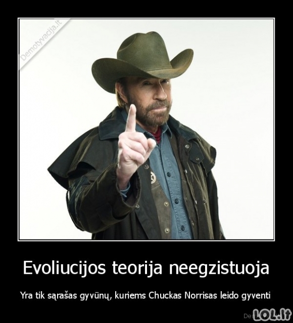 Chucko Norriso įtaka evoliucijai