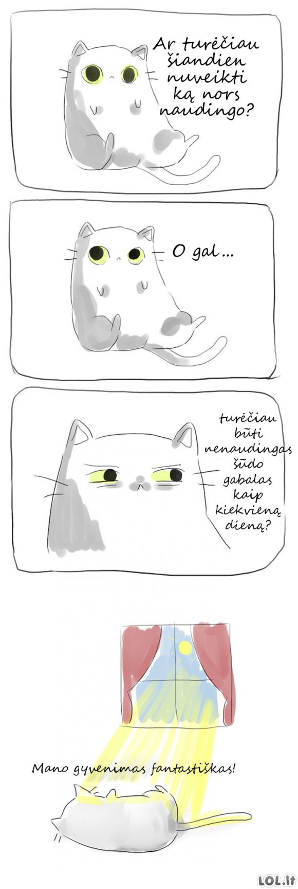 Vienintelė dilema kačių gyvenime