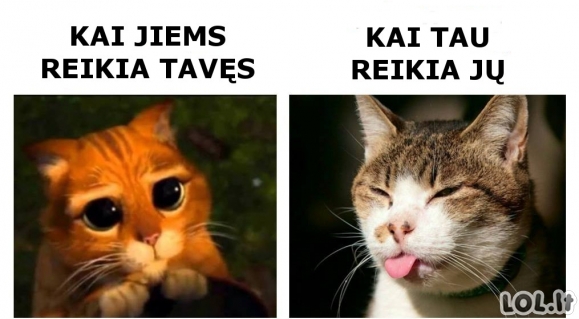 Skirtingos reakcijos