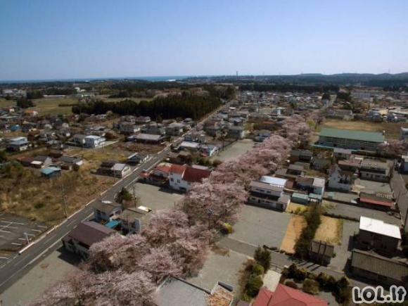 Kaip atrodo Fukušima po branduolinės katastrofos