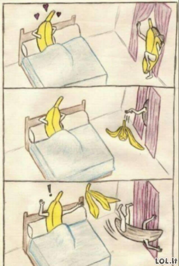 Nerangus bananas