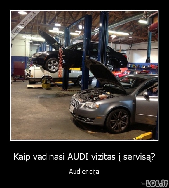Mįslė apie Audi