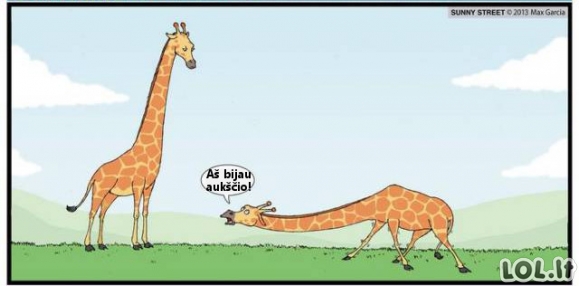 Blogiausia fobija, kokią gali turėti žirafa