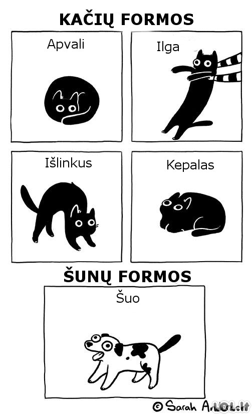 Kačių ir šunų formos
