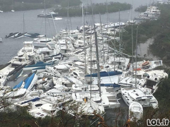 Uragano Irma padariniai