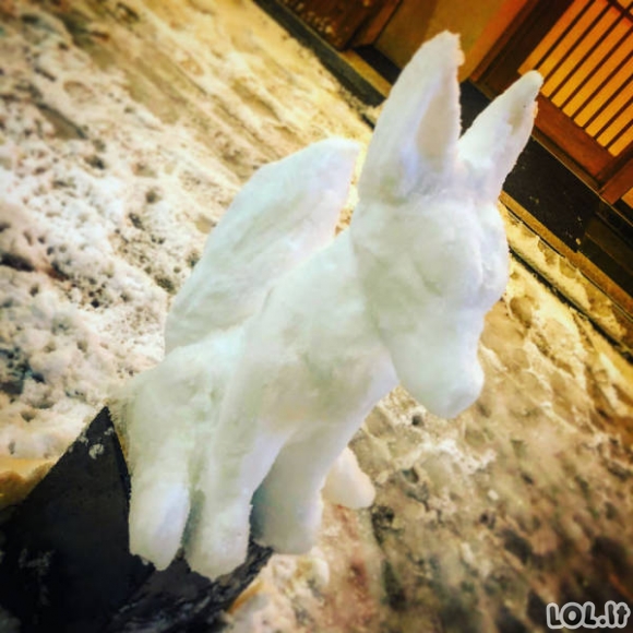 Japoniški sniego seniai [38 FOTO]