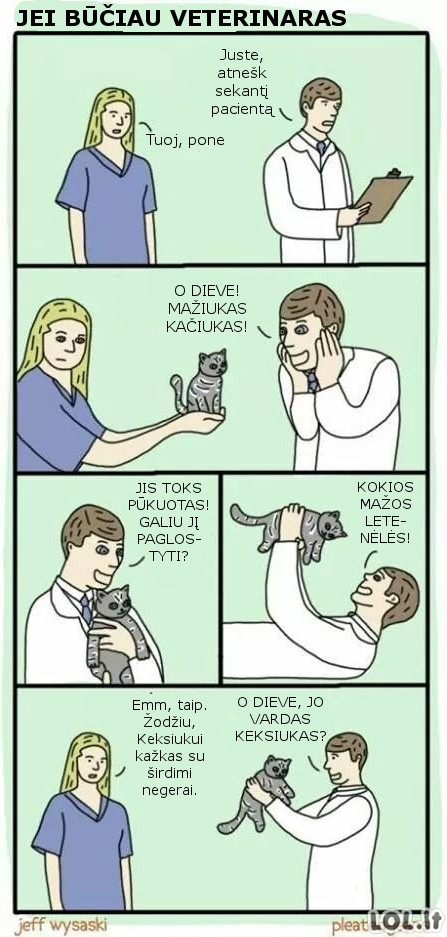 Jei būčiau veterinaras