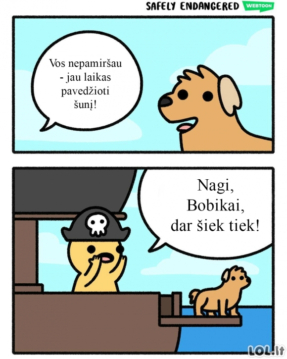 Pirato šuo