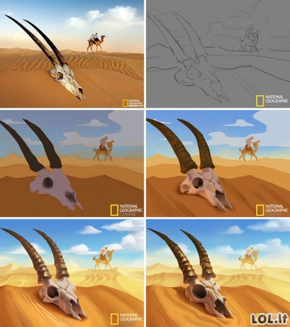 Animacijos, kurios buvo padarytos iš National Geographic kadrų [galerija]