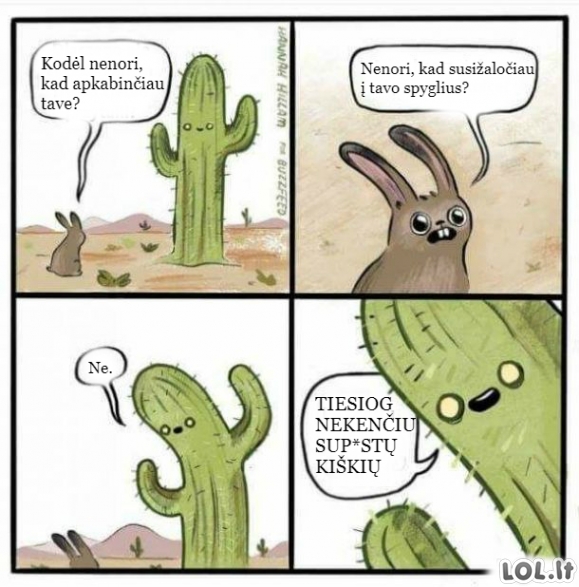 Kaktusas ir kiškis