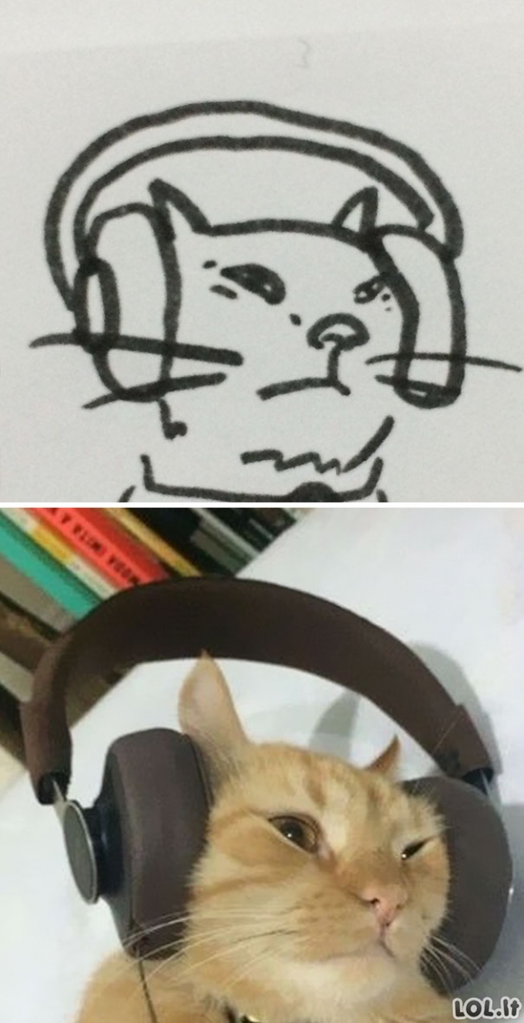 Mokytoja sakė, kad berniukas nemoka piešti kačių, bet tokios katės egzistuoja iš tikrųjų (26 foto)