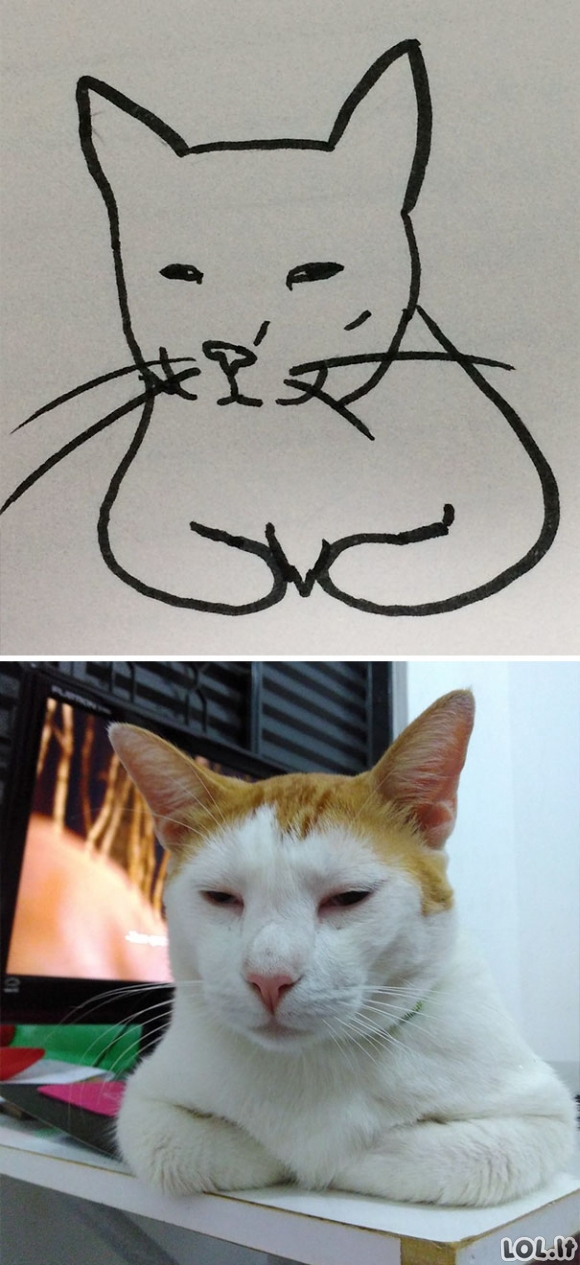 Mokytoja sakė, kad berniukas nemoka piešti kačių, bet tokios katės egzistuoja iš tikrųjų (26 foto)
