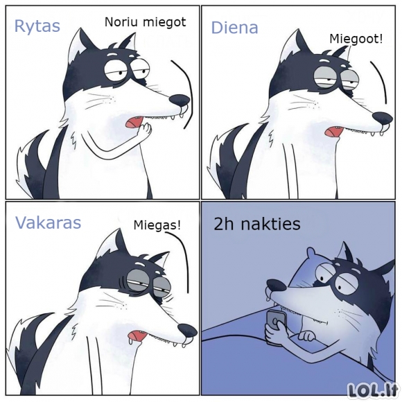 Kai nori miegoti Kai nori miegoti
