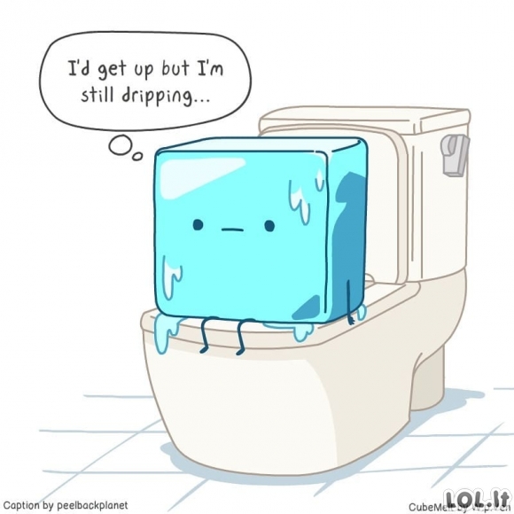 Smagus ledo kubelio gyvenimas (30 komiksų)