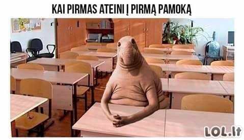 Linksmiausios mėmės apie mokslus Linksmiausios mėmės apie mokslus