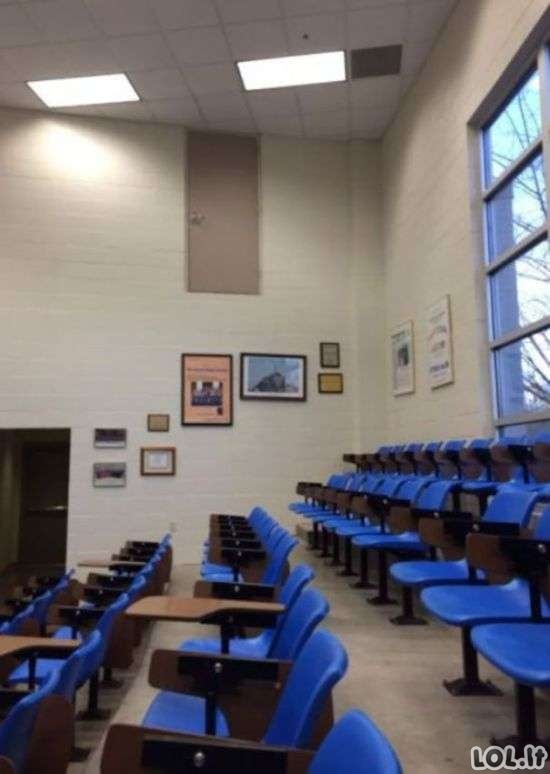 Statybininkai, kuriems rankos tikriausiai išdygo iš šiknos [GALERIJA]