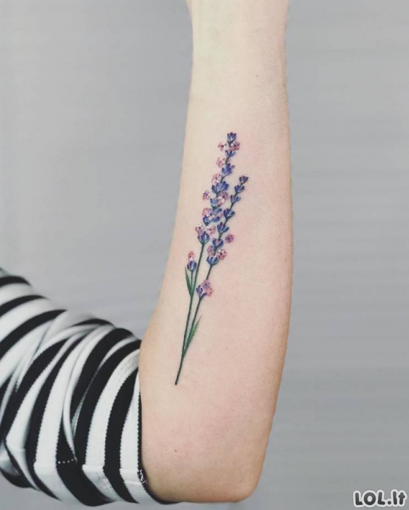 Tatuiruotės, kurios tikrai vertos tatuiruotės vardo [28 nuotraukos]