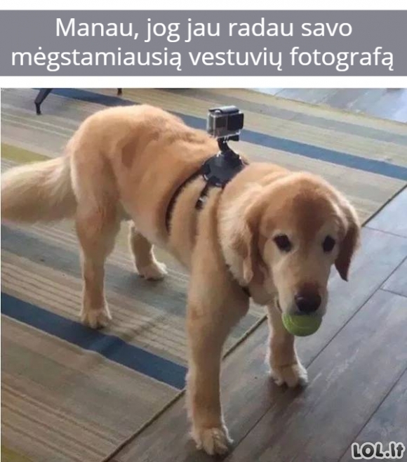 Vestuvių fotografas