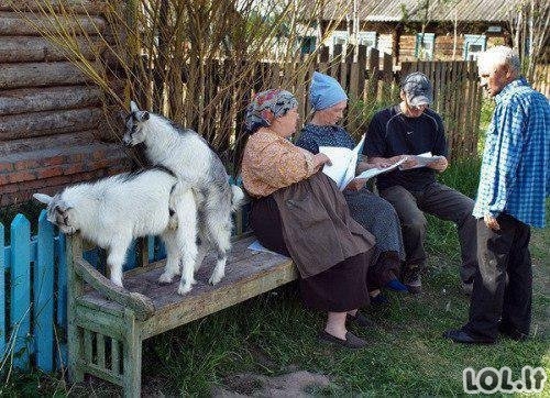 Rusų gyvenimo kasdienybės nuotraukos [GALERIJA]