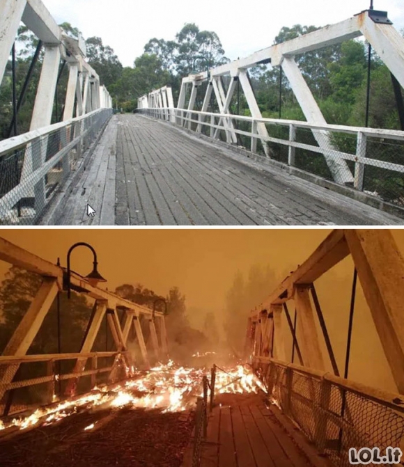 Skaudžios gaisrų pasekmės Australijoje