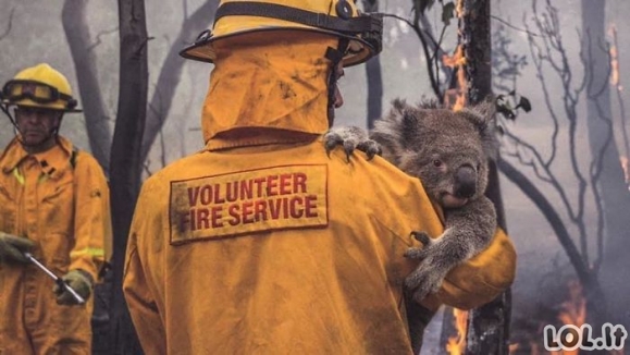 Skaudžios gaisrų pasekmės Australijoje
